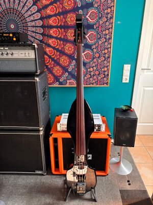 Easton & Franklin Electric Upright Bass mit Shadow Rockabilly Pro Pre-Amp