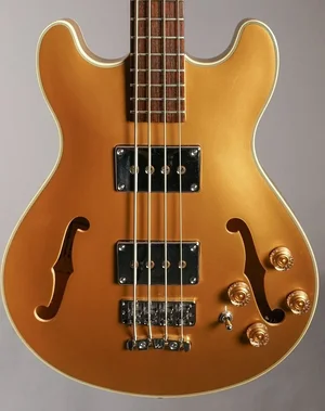 SUCHE: Bass in gold, z.B. Warwick Rockbass Starbass, Epiphone Jack Casady oder andere