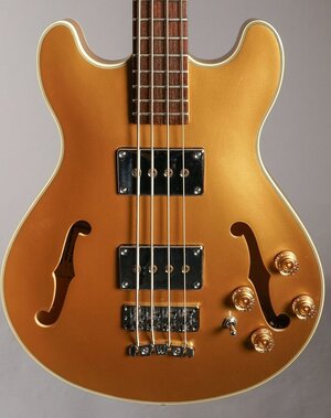 SUCHE: Bass in gold, z.B. Warwick Rockbass Starbass, Epiphone Jack Casady oder andere