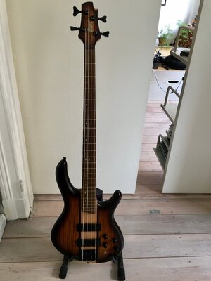 TAUSCHE Cort C4 Plus gegen Cort C5 Plus