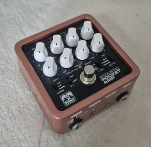 Palmer Acoustic Pocket Amp (Bass, Preamp)