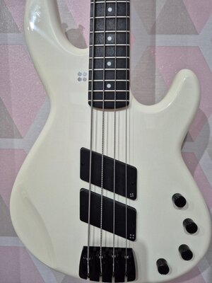 Sandberg Panther VM4 Custom, Virgin White Highgloss