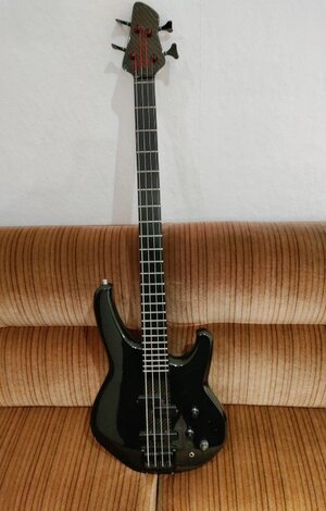 Status Bass Matrix 4 Saiter