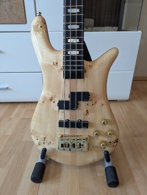 SPECTOR Euro 4 LX EB Poplar Burl Gloss