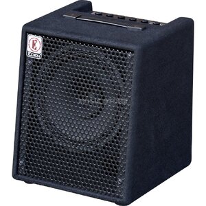 Eden ec 10 mit 50 Watt