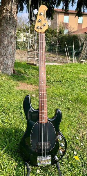 Ernie Ball Music Man Stingray 2000