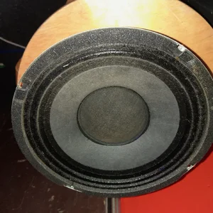 Tausche zwei 10" er Trace Basslautsprecher gegen einen 12" er