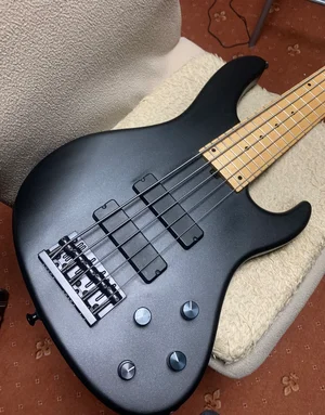 Sadowsky NYC Modern5