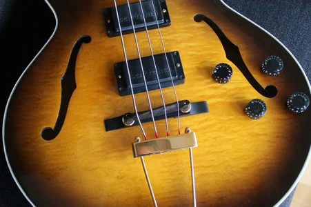 Gibson EB-750 detail02.webp