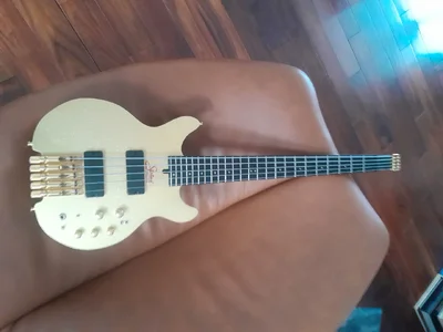 Status basses two     kingbass 5250      custom  3850  both in very good condition