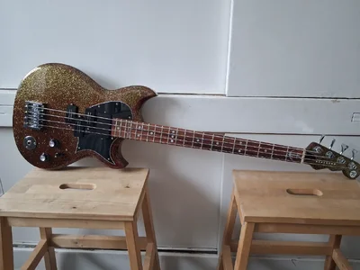 Reverend Mike Watt Wattplower Shortscale Bass