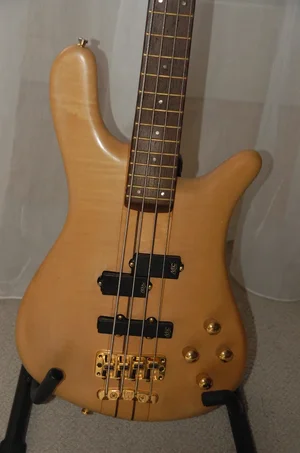 Warwick Body Front.webp