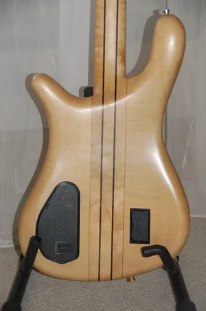 Warwick Body Back.webp