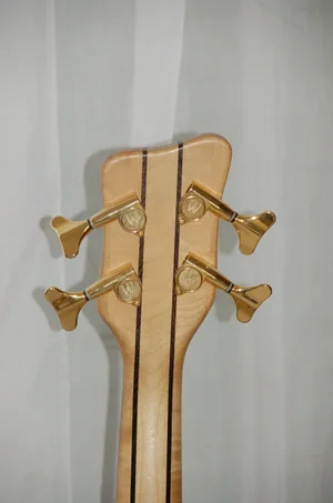 Warwick Head Back.webp