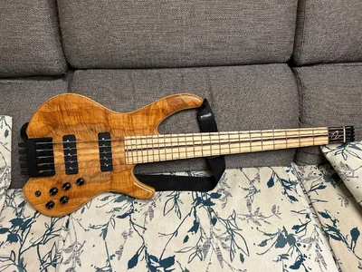 Nordstrand Audio NJ5HL headless 5 bass 2012  (for sale/trade)