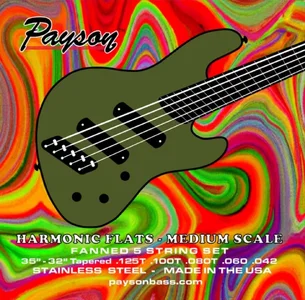 Suche Medium Multiscale Flatwound Strings (Payson?)