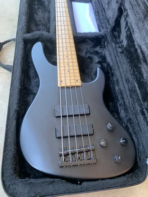 Sadowsky NYC modern 5/24