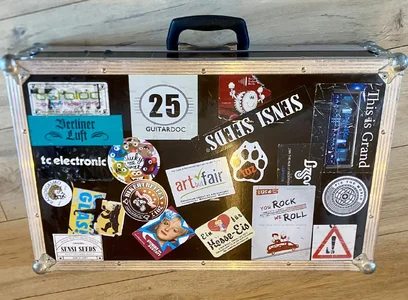 Thon Effektpedal Koffer für Boss GT-100/GT-10/GT-10B E