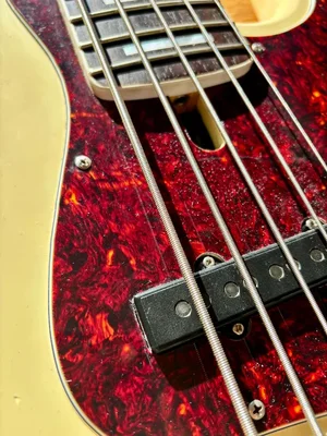 WhatsApp Image 2026-01-30 at 12.02.42 (2).webp