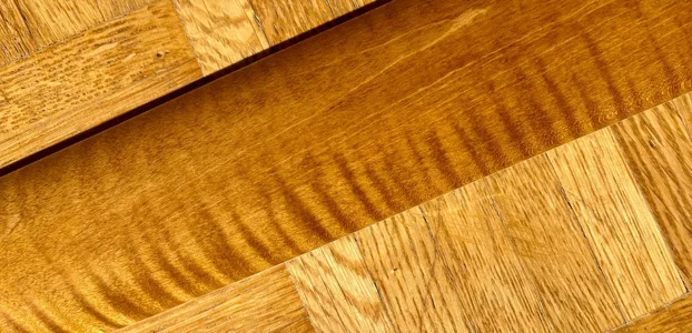 WhatsApp Image 2026-01-30 at 12.02.42 (5).webp