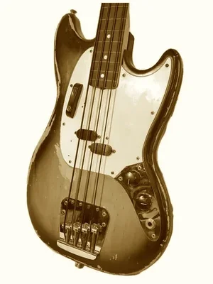 Suche einen Fretless-Bass mit medium oder short scale