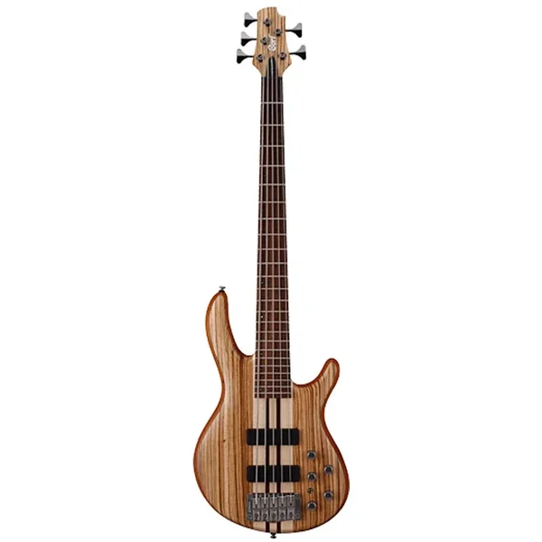 Suche Ibanez MDM oder Cort A5 (Custom)