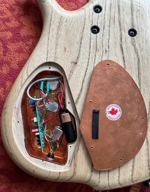F Bass BN 6 Electronics.webp