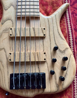 F Bass BN 6 Body Front close.webp