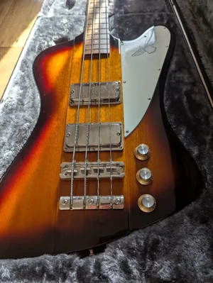 Tbird 2.webp