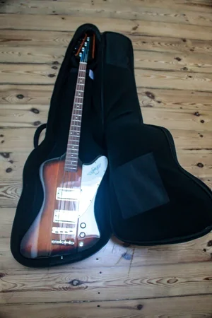 Epiphone02.webp