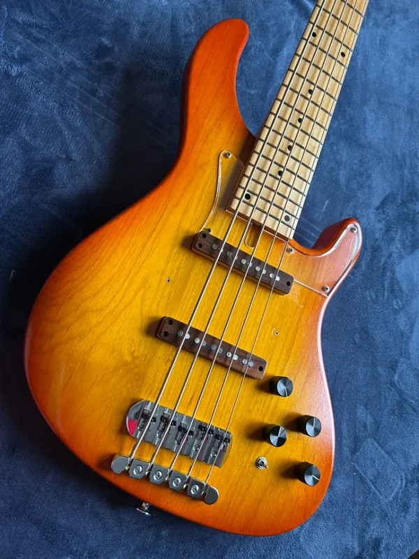 Bacchus Twenty Four 5 Custom Alder Made in Japan Bassgitarre