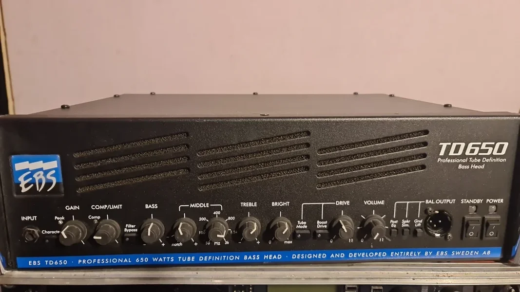 EBS and Mesa Boogie amps