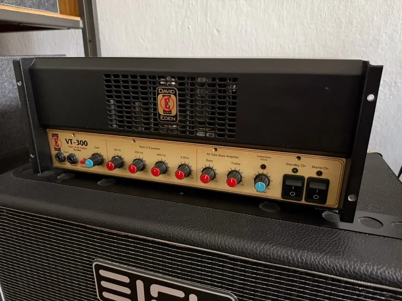 Eden VT 300 - Rarität - 300 Watt Vollröhre