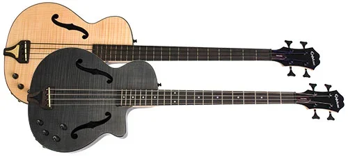 [Suche] Epiphone Zenith Bass