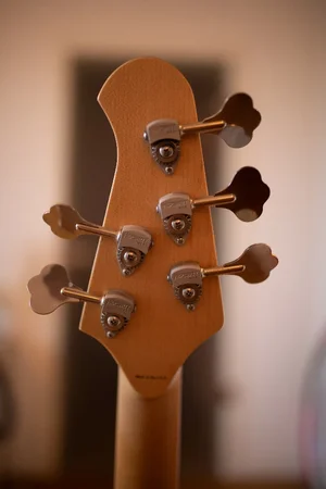 Lakland USA 55-94-6.webp
