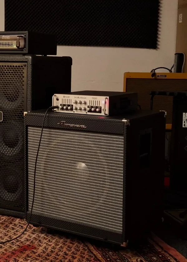 Ampeg / JBL Bassbox Umbau (Schweiz)