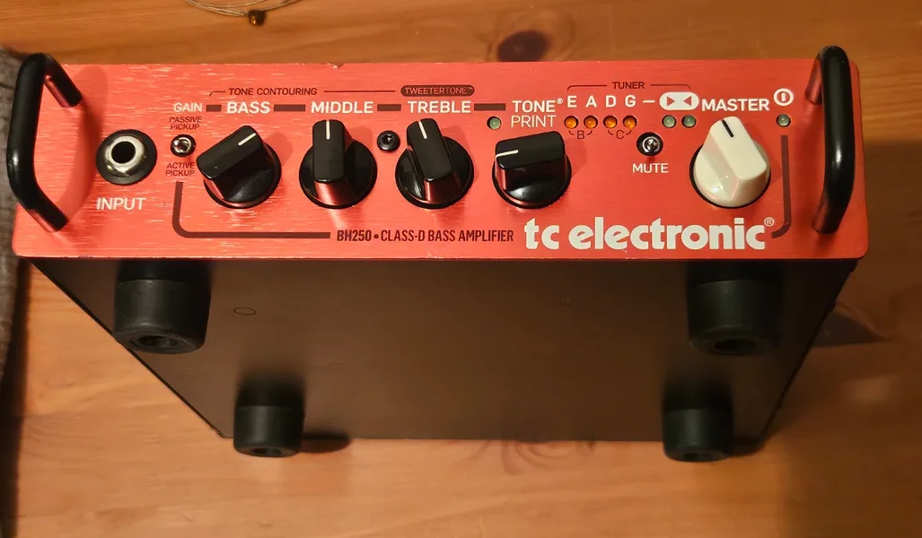TC Electronic BH 250 Bass Amp Verstärker
