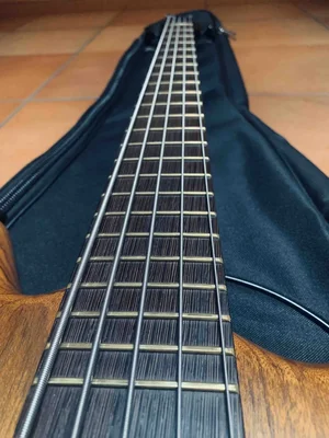 Neck.webp