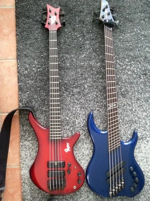Dingwall vs. Vigier.webp
