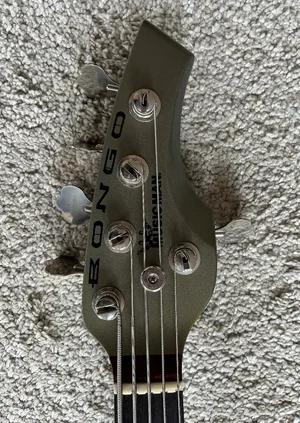bongo_3.webp