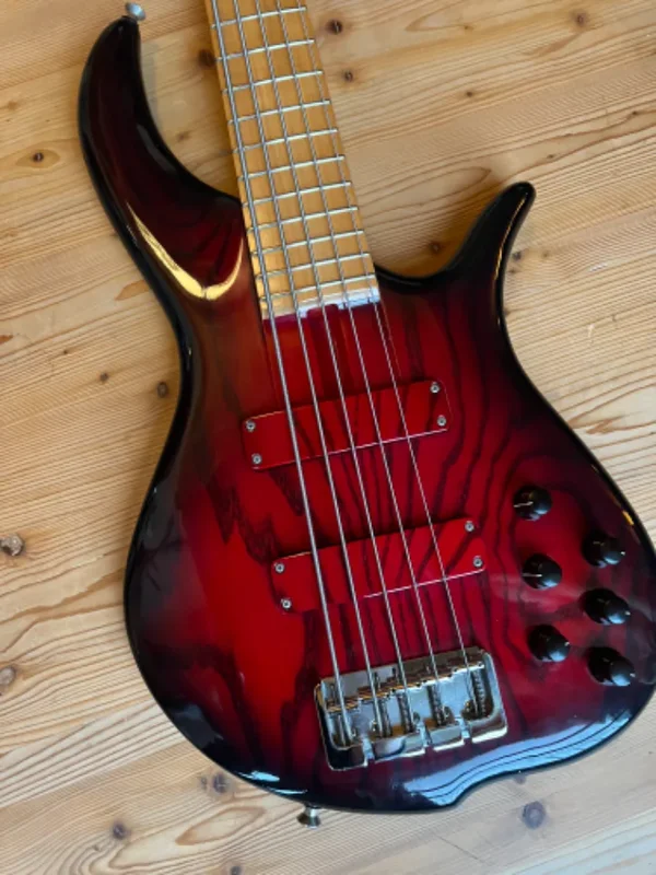 F-Bass BN5 5-Saiter Bass