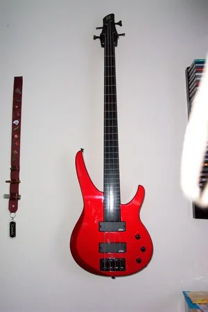 SilverStarFretless2.webp