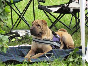 IMG_2188.JPG IMG_2188.JPG