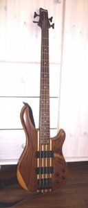 Johnson_Bass_0.jpg Johnson_Bass_0.jpg