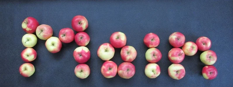 Äpfel.webp