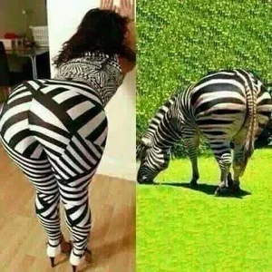 afrika leggins.webp
