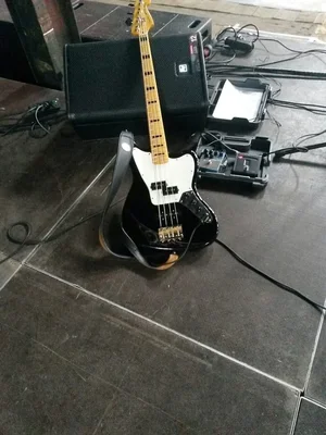 jaguar on stage.webp