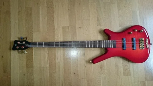 Corvette Proline (1).webp