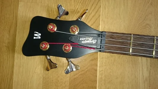 Corvette Proline (2).webp