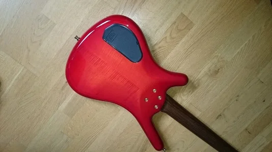 Corvette Proline (5).webp